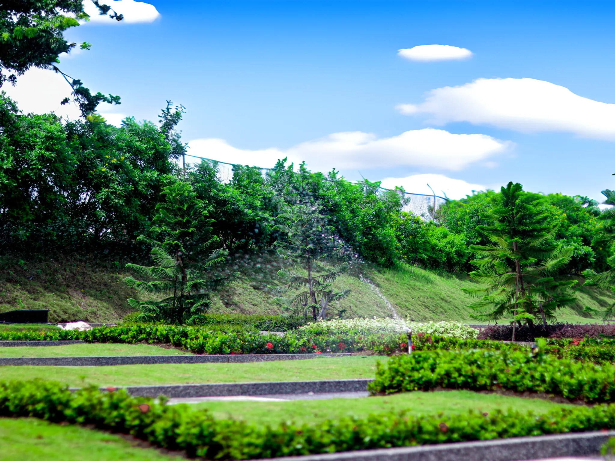 Sistem sprinkler menjaga keasrian rumput setiap hari